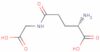 γ-D-Glutamylglycine