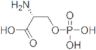 O-phospho-D-serine