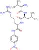 D-valyl-L-leucyl-N~5~-(diaminomethylidene)-N-(4-nitrophenyl)-L-ornithinamide