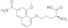 L-glutamic acid gamma-(4-methoxy-B-*naphthylamide