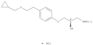 2-Propanol,1-[4-[2-(cyclopropylmethoxy)ethyl]phenoxy]-3-[(1-methylethyl)amino]-,hydrochloride (1:1…