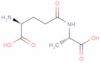 γ-Glutamylalanine