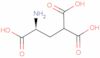 γ-Carboxyglutamic acid