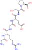 glycyl-N~5~-(diaminomethylidene)-L-ornithylglycyl-L-alpha-glutamyl-L-seryl-L-proline