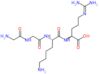 glycylglycyl-L-lysyl-N~5~-(diaminomethylidene)-L-ornithine