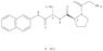 gly-pro-leu B-naphthylamide*hydrochloride