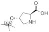 (4R)-4-(1,1-Dimethylethoxy)-L-proline