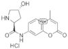 trans-4-hydroxy-L-proline 7-amido-4-*methylcoumar