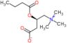 (3R)-3-(butanoyloxy)-4-(trimethylammonio)butanoate