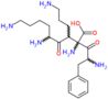 2-(2-amino-3-phenylpropanoyl)-3-(2,6-diaminohexanoyl)lysine