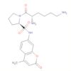 L-Prolinamide, L-lysyl-N-(4-methyl-2-oxo-2H-1-benzopyran-7-yl)-
