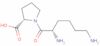 L-Lysyl-L-proline