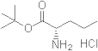 L-Norvaline tert-butyl ester hydrochloride