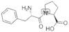 L-Phenylalanyl-L-proline