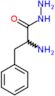 (S)-2-amino-3-phenylpropanehydrazide