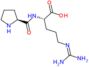 L-Prolyl-L-arginine