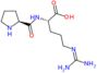 L-prolyl-N~5~-(diaminomethylidene)-L-ornithine