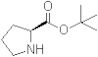L-proline T-butyl ester free base
