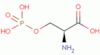 Phospho-L-serine