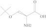 O-(1,1-Dimetiletil)-L-serina