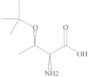 O-(1,1-Dimethylethyl)-L-threonine