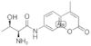 L-threonine 7-amido-4-methylcoumarin