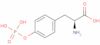 O-phospho-L-tyrosine
