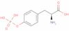 Phospho-L-tyrosine