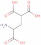 gamma-carboxy-dl-glutamic acid