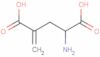 4-Methyleneglutamic acid