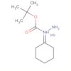 Hydrazinecarboxylic acid, cyclohexylidene-, 1,1-dimethylethyl ester