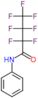 2,2,3,3,4,4,4-heptafluoro-N-phenylbutanamide