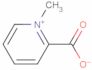 1-methylpyridinium-2-carboxylate