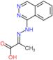 (2E)-2-[2-(phthalazin-1-yl)hydrazinylidene]propanoic acid