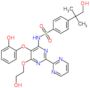 4-(2-hydroxy-1,1-dimethylethyl)-N-[6-(2-hydroxyethoxy)-5-(2-hydroxyphenoxy)-2,2'-bipyrimidin-4-yl]benzenesulfonamide