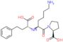(2S)-1-[(2S)-6-amino-2-[[(1R)-1-carboxy-3-phenyl-propyl]amino]hexanoyl]pyrrolidine-2-carboxylic acid