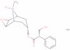 Benzeneacetic acid, α-(hydroxymethyl)-, (1α,2β,4β,5α,7β)-9-methyl-9-oxido-3-oxa-9-azatricyclo[3.3.…