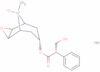 (-)scopolamine N-oxide hydrobromide