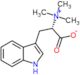 (+)-Hypaphorine