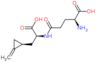 (αS,1R)-α-[[(4S)-4-Amino-4-carboxy-1-oxobutyl]amino]-2-methylenecyclopropanepropanoic acid