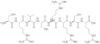 insulin-like growth factor ii fragment*33-40