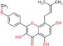 3,5,7-Triidrossi-2-(4-metossifenil)-8-(3-metilbut-2-en-1-il)-4H-cromen-4-one