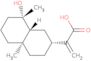 2-[(2R,4aR,8S,8aR)-8-hydroxy-4a,8-dimethyldecahydronaphthalen-2-yl]prop-2-enoic acid