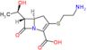 (+)-Thienamycin