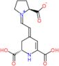 (1Z,2S)-1-{(2E)-2-[(2S)-2,6-dicarboxy-2,3-dihydropyridin-4(1H)-ylidene]ethylidene}pyrrolidinium-...