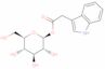 1-O-(Indol-3′-ylacetyl)-β-D-glucopyranose