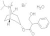 Ipratropium bromide monohydrate