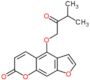 4-(3-methyl-2-oxobutoxy)-7H-furo[3,2-g]chromen-7-one