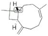 (-)-isocaryophyllene