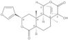 IsocoluMbin